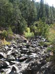 Creek 
